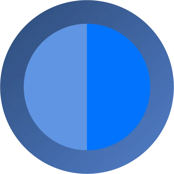 A blue circle is divided vertically into two equal halves, one light blue and one medium blue, with a darker blue ring surrounding the circle.